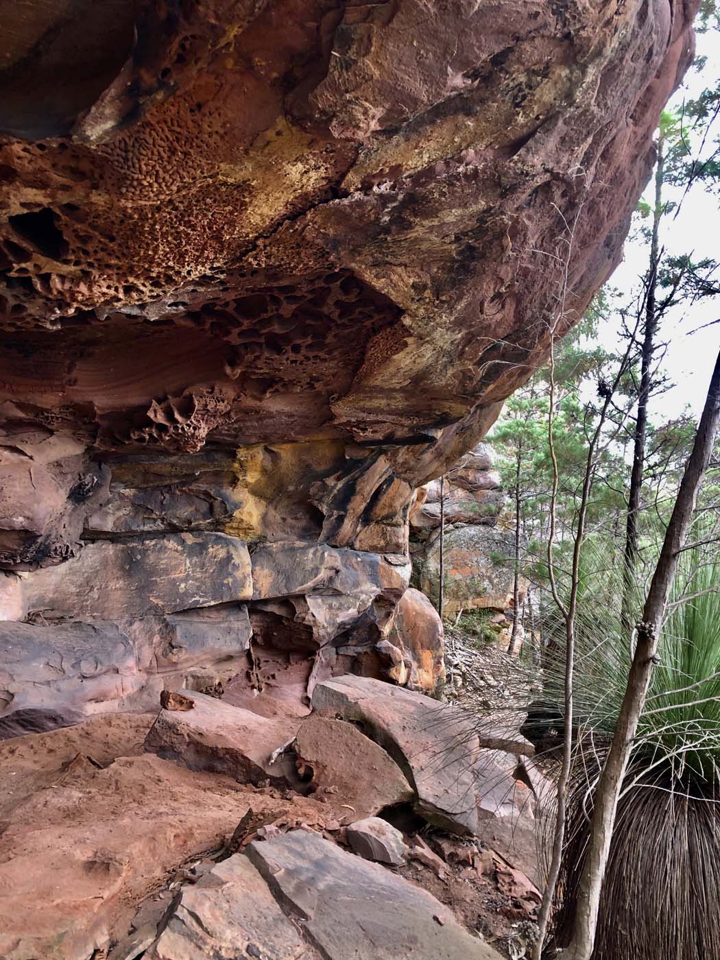 Grampians peaks trail australia (22)