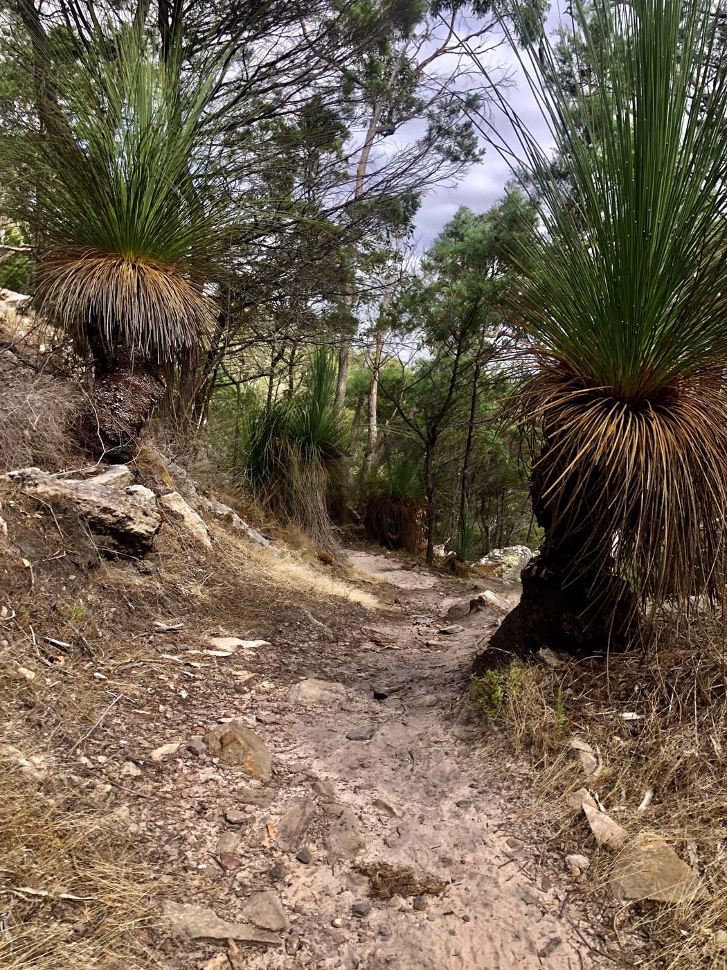Grampians peaks trail australia (29)