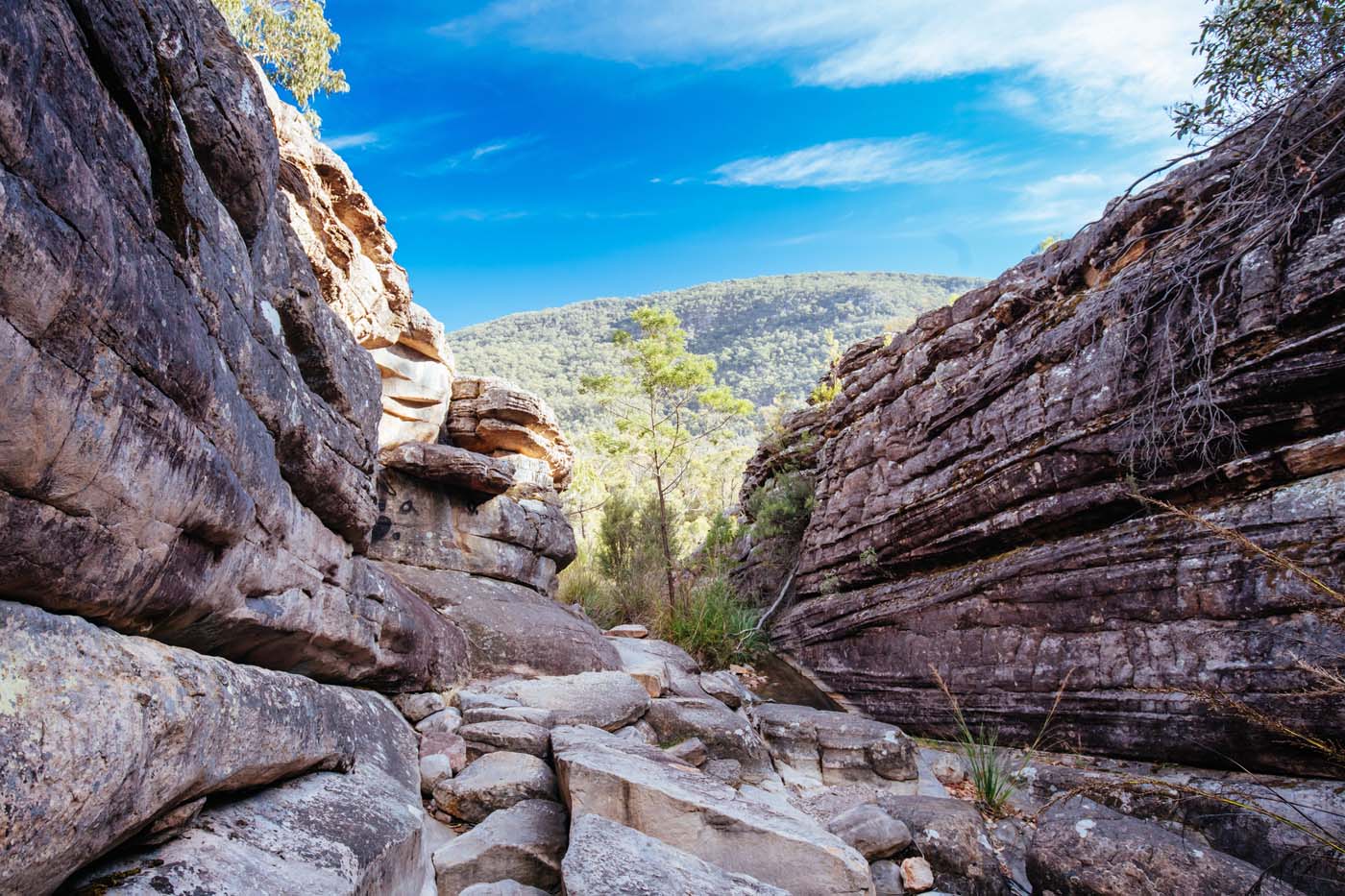Grampians peaks trail australia (7)