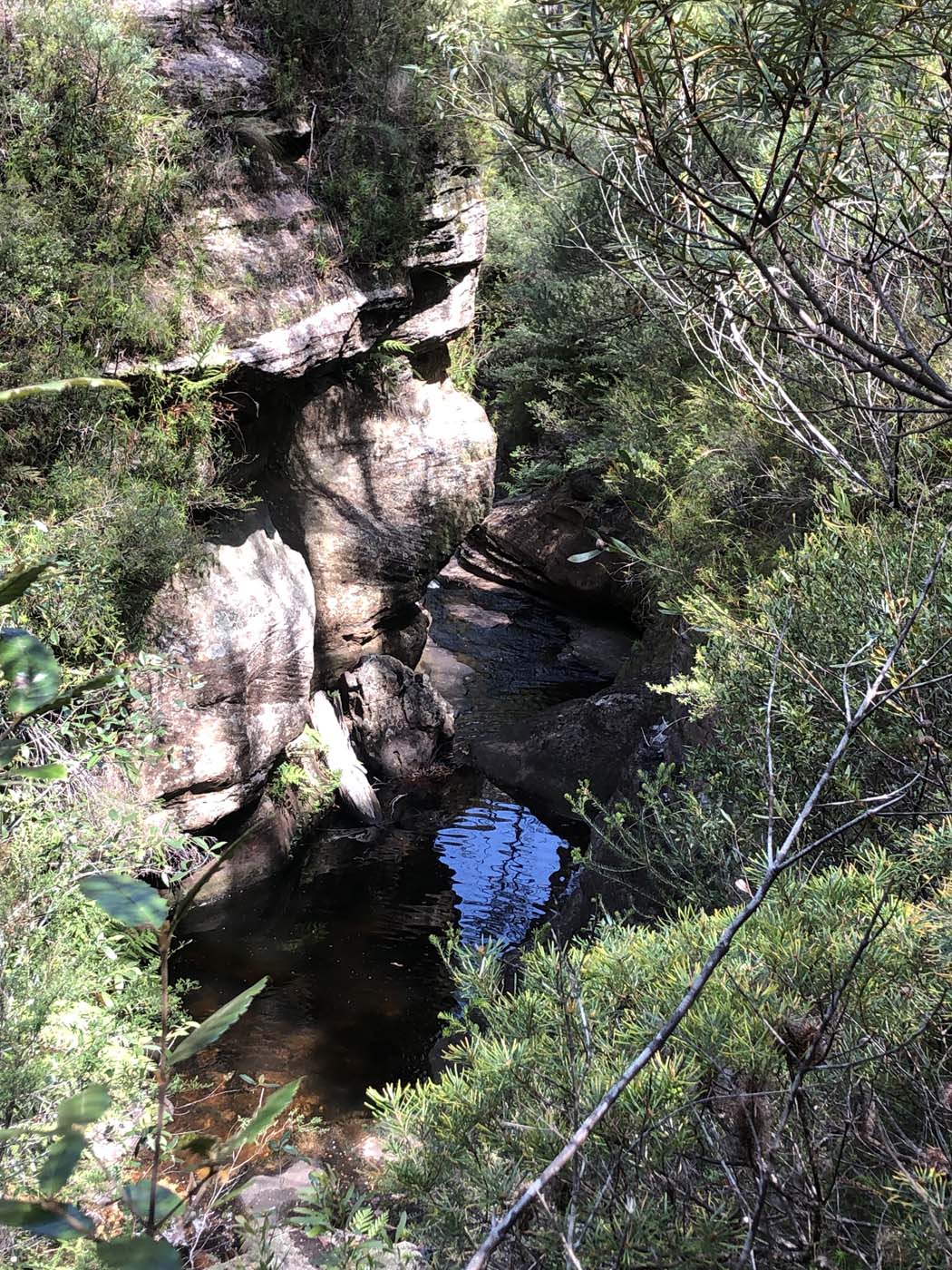 Grand canyon cliff top popes glen (12)
