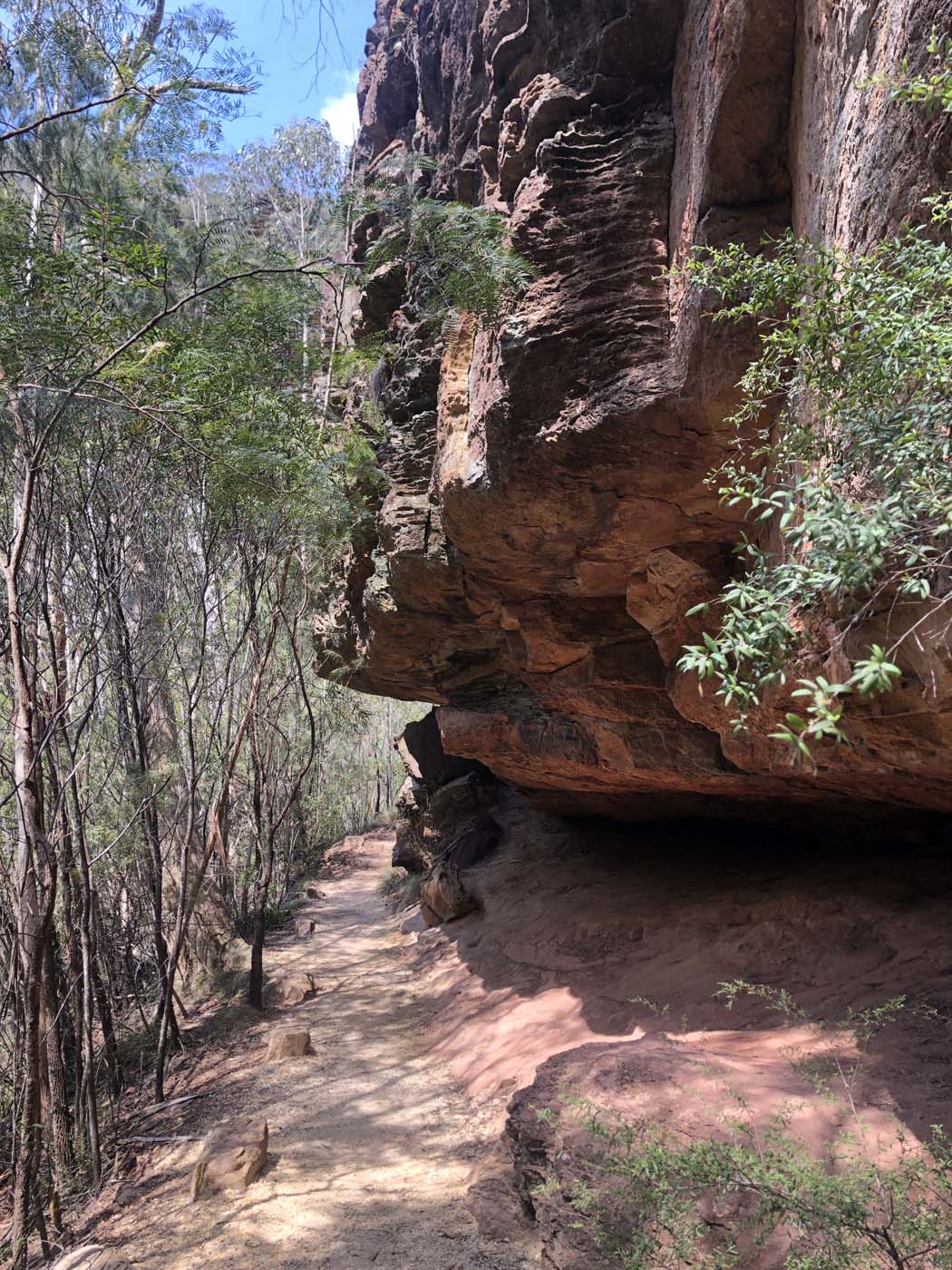 Grand canyon cliff top popes glen (13)