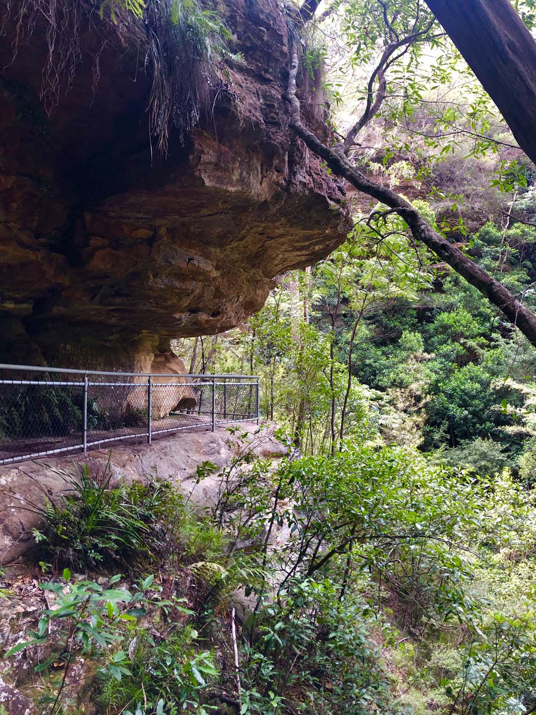 Grand canyon cliff top popes glen (26)
