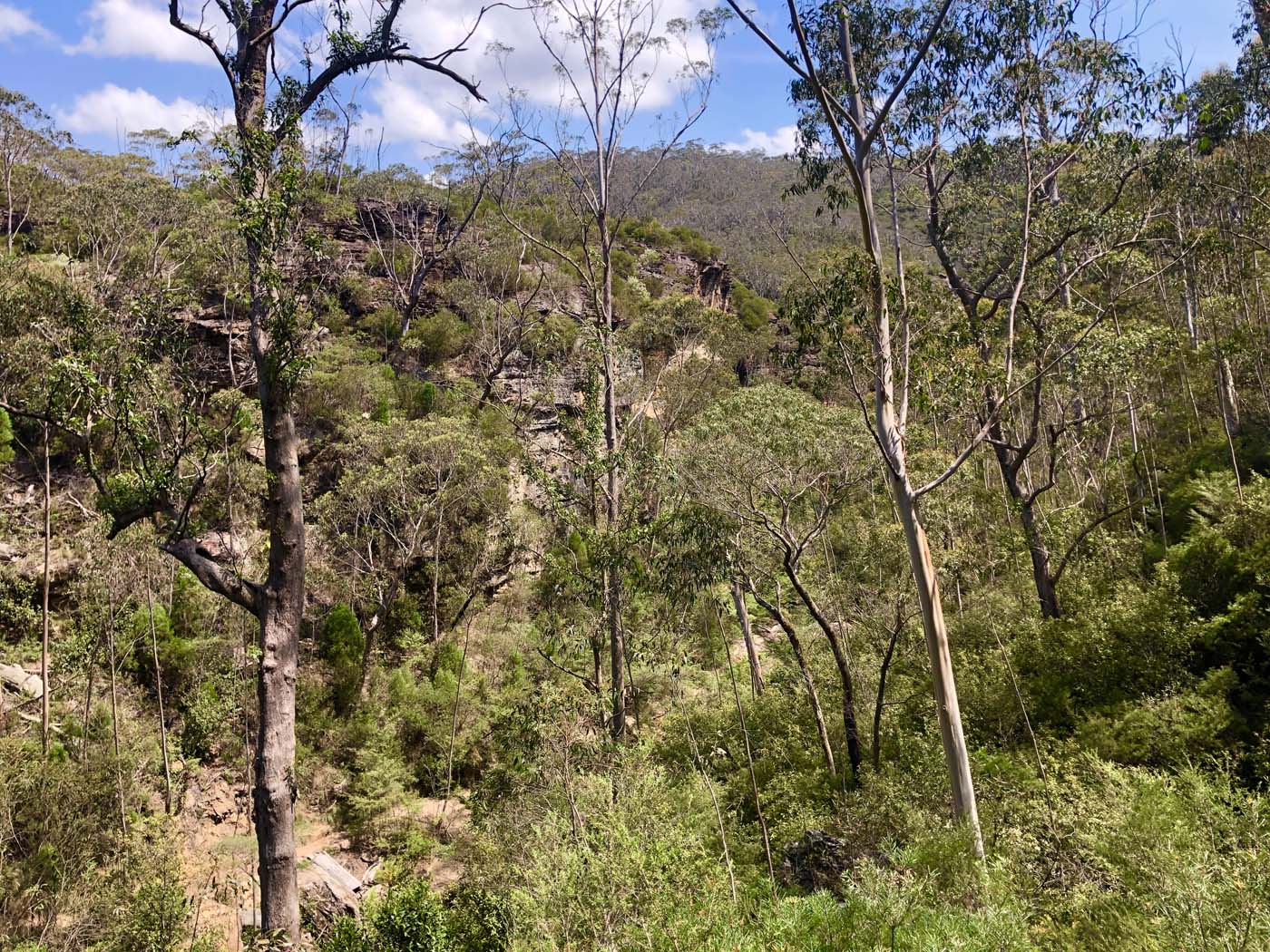 Grand canyon cliff top popes glen (9)