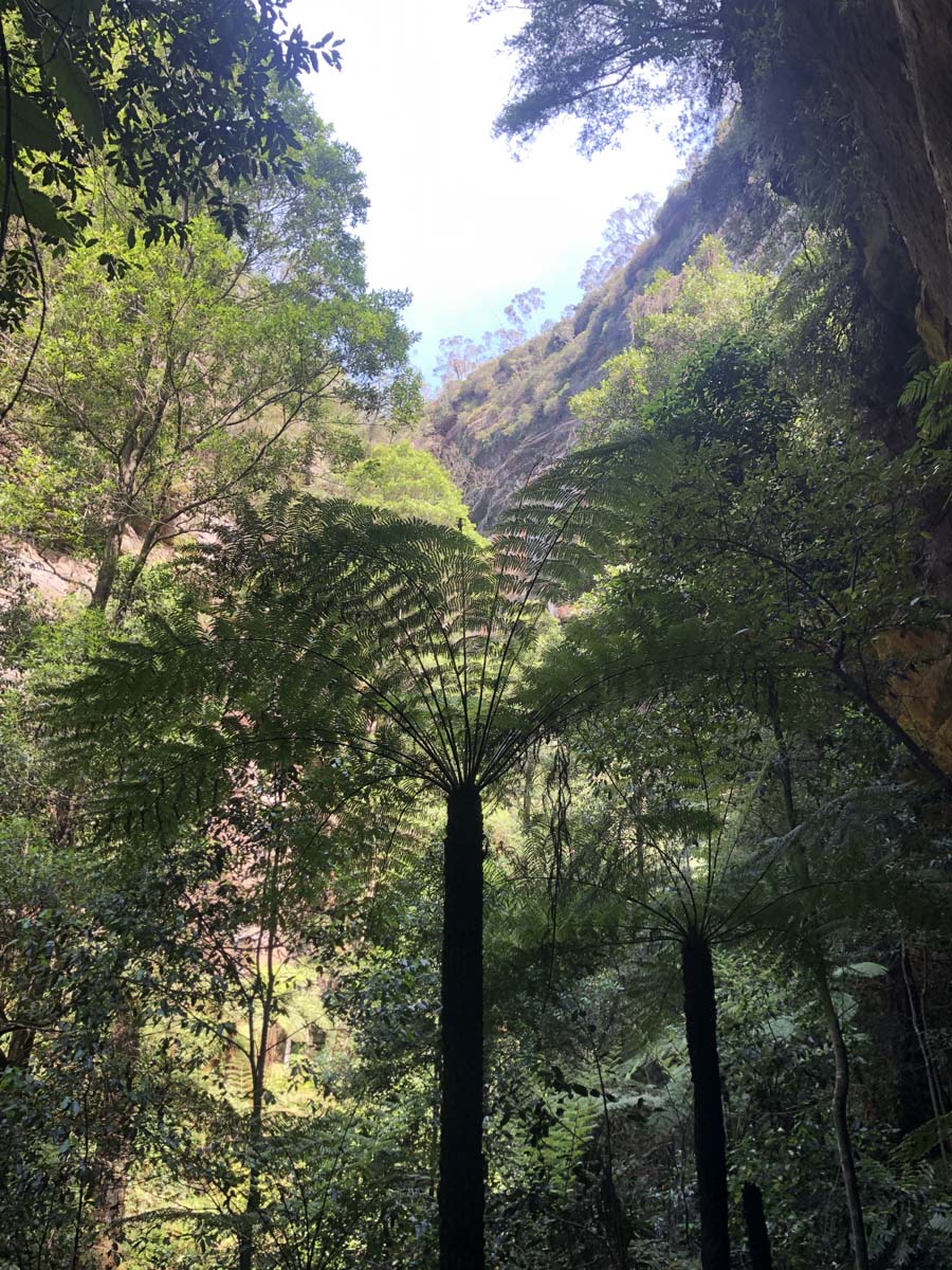 Grand canyon track 32