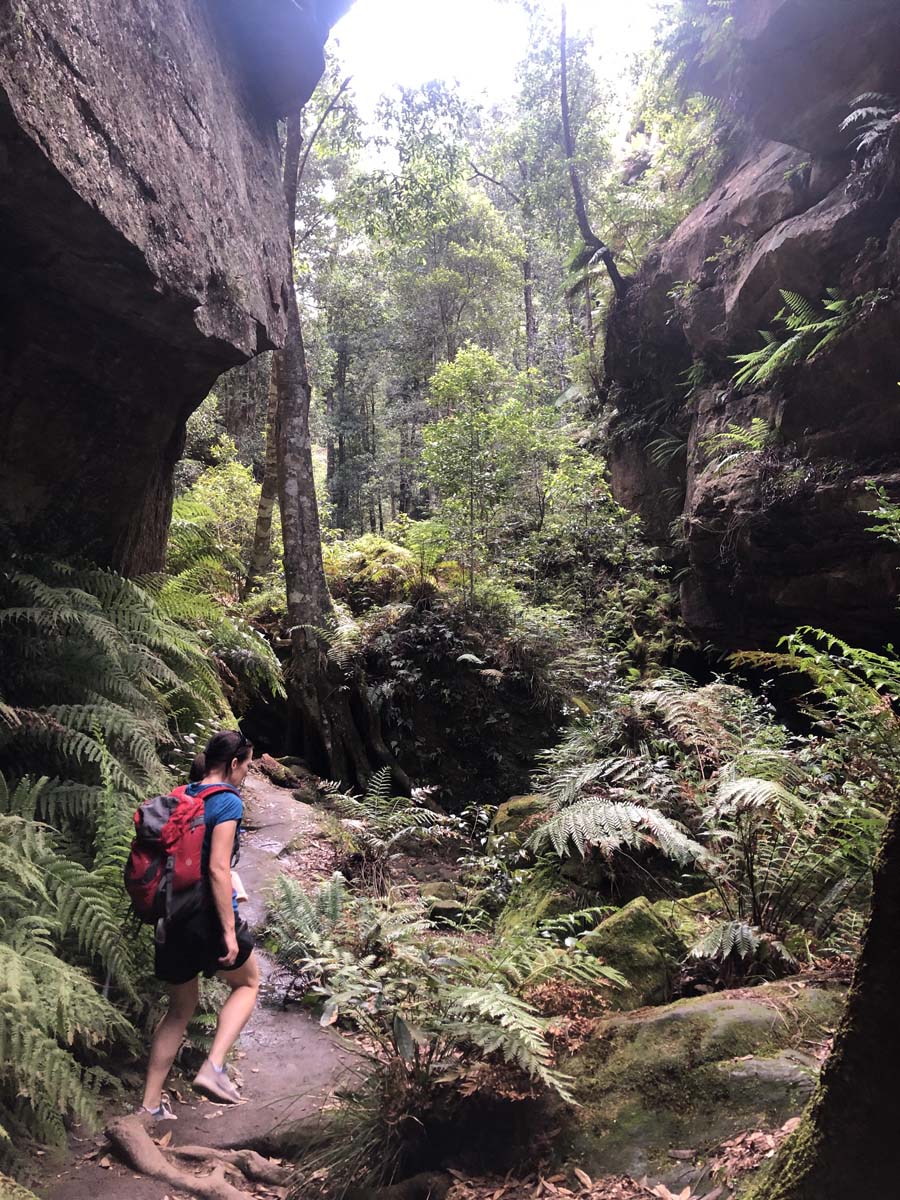 Grand canyon track 40