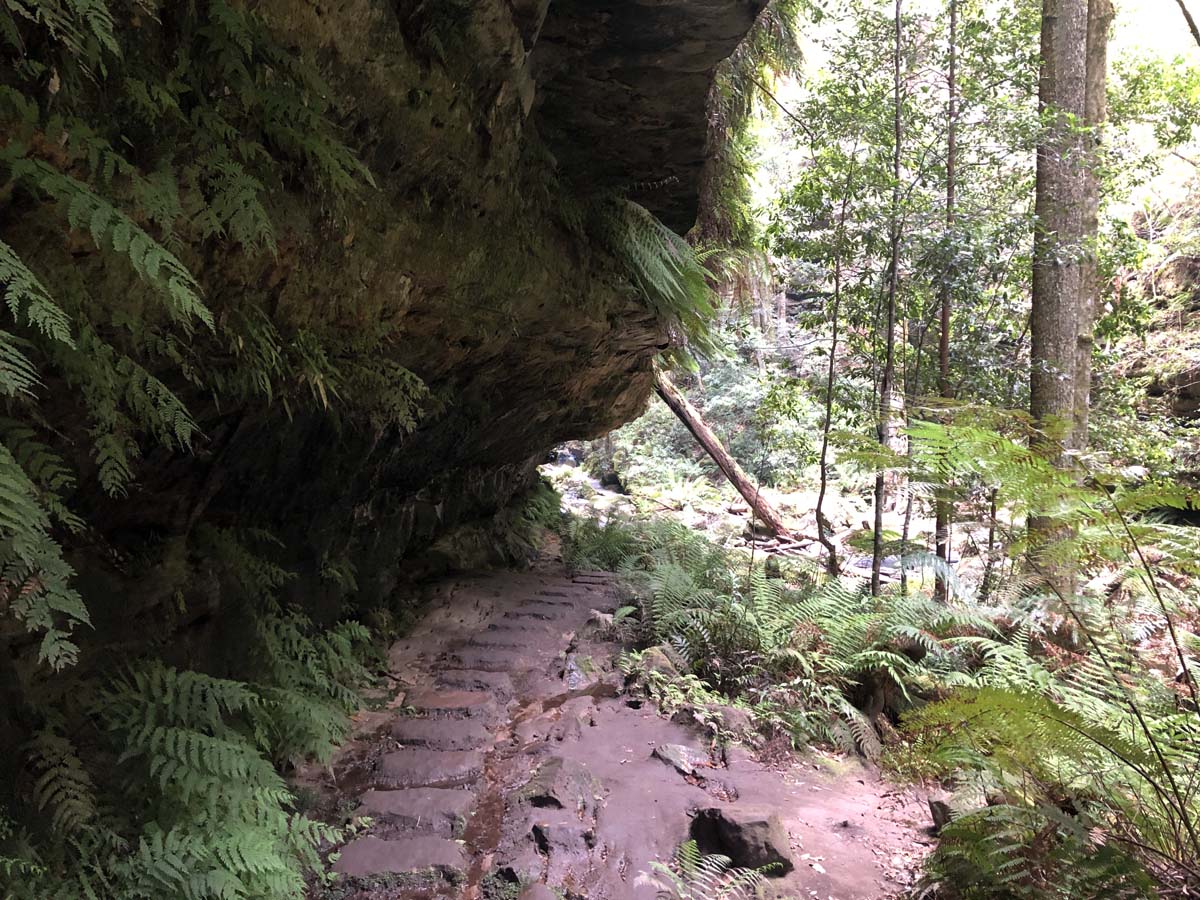 Grand canyon track 46