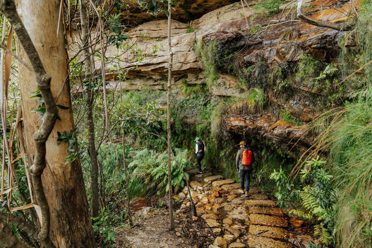 Grand cliff top walk (6)