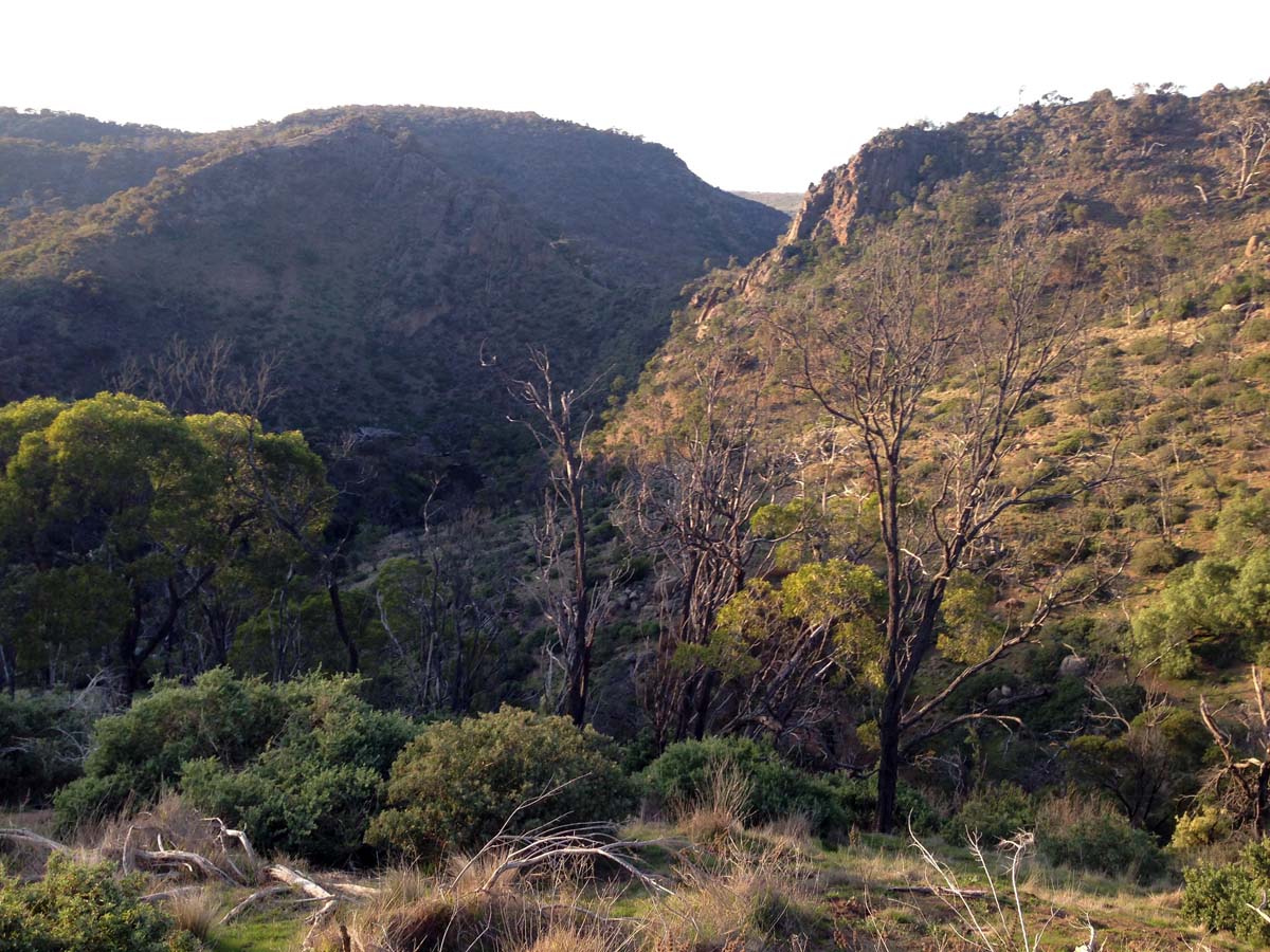 Granites saddle & ironbark gorge hike 10
