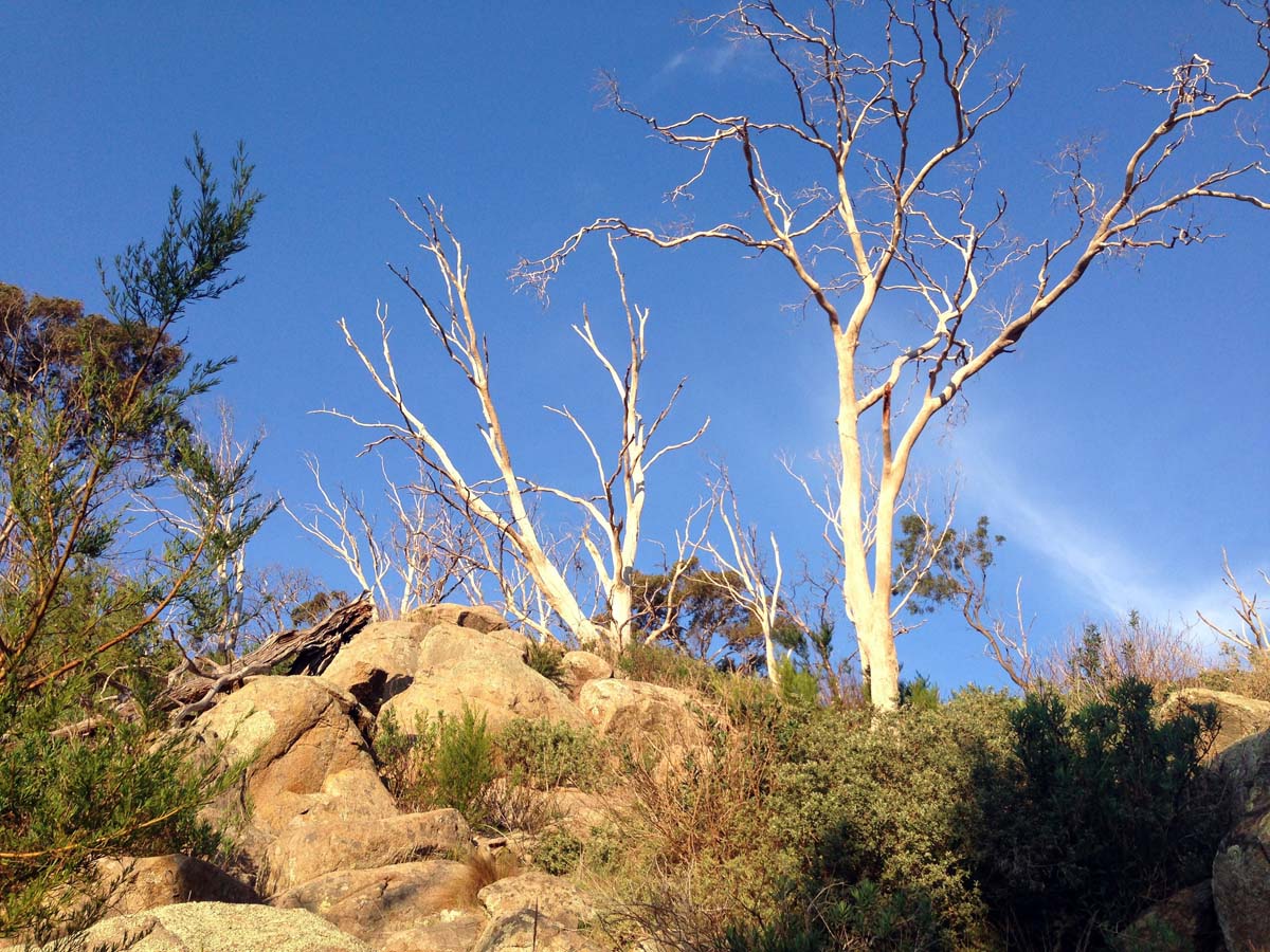 Granites saddle & ironbark gorge hike 11