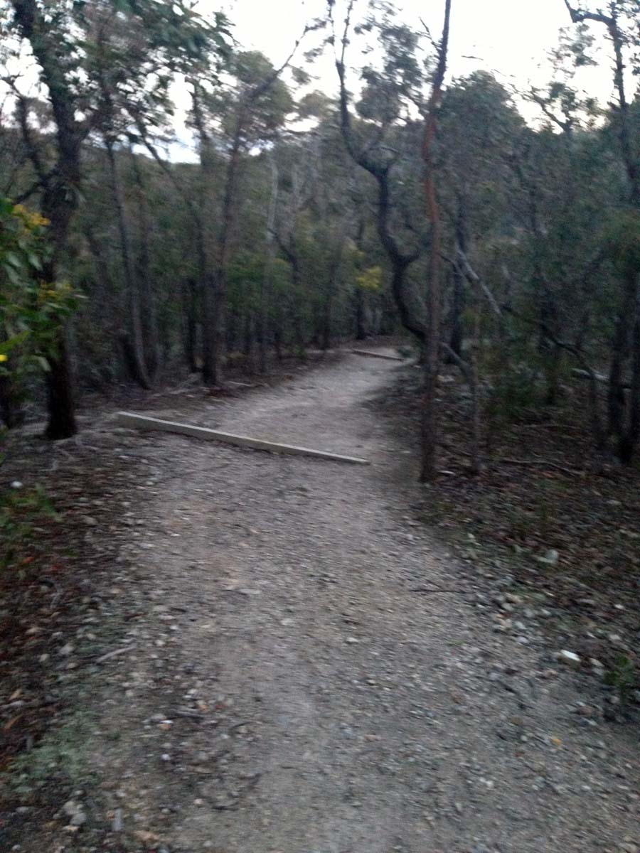 Granites saddle & ironbark gorge hike 12