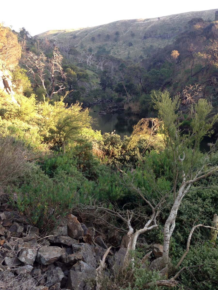 Granites saddle & ironbark gorge hike 15