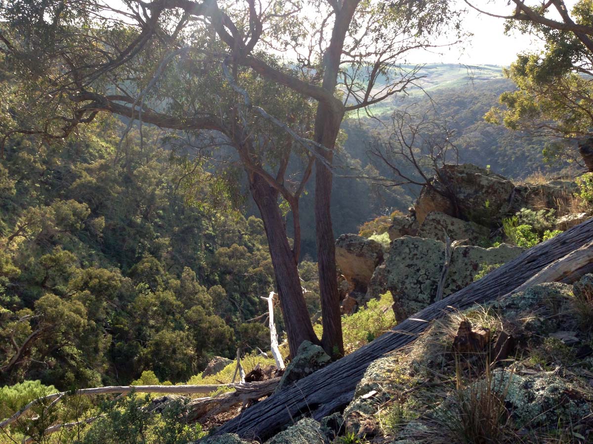 Granites saddle & ironbark gorge hike 19