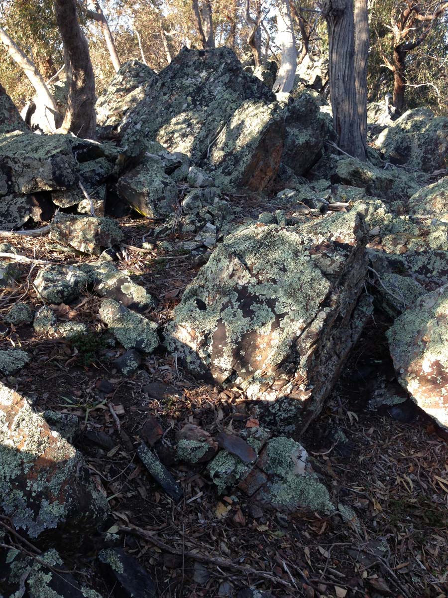 Granites saddle & ironbark gorge hike 20