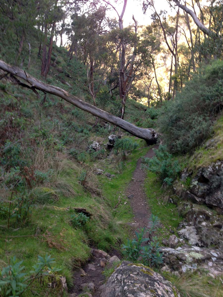 Granites saddle & ironbark gorge hike 25