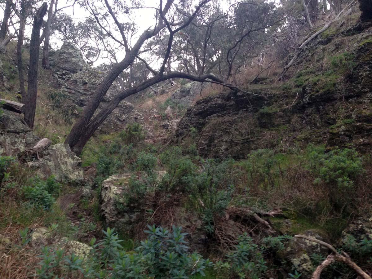 Granites saddle & ironbark gorge hike 26