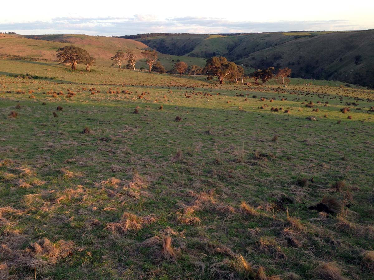 Granites saddle & ironbark gorge hike 3