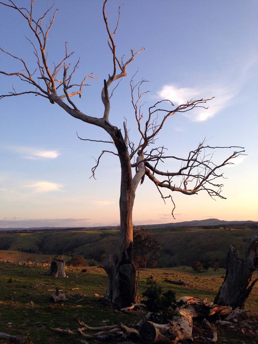 Granites saddle & ironbark gorge hike 30
