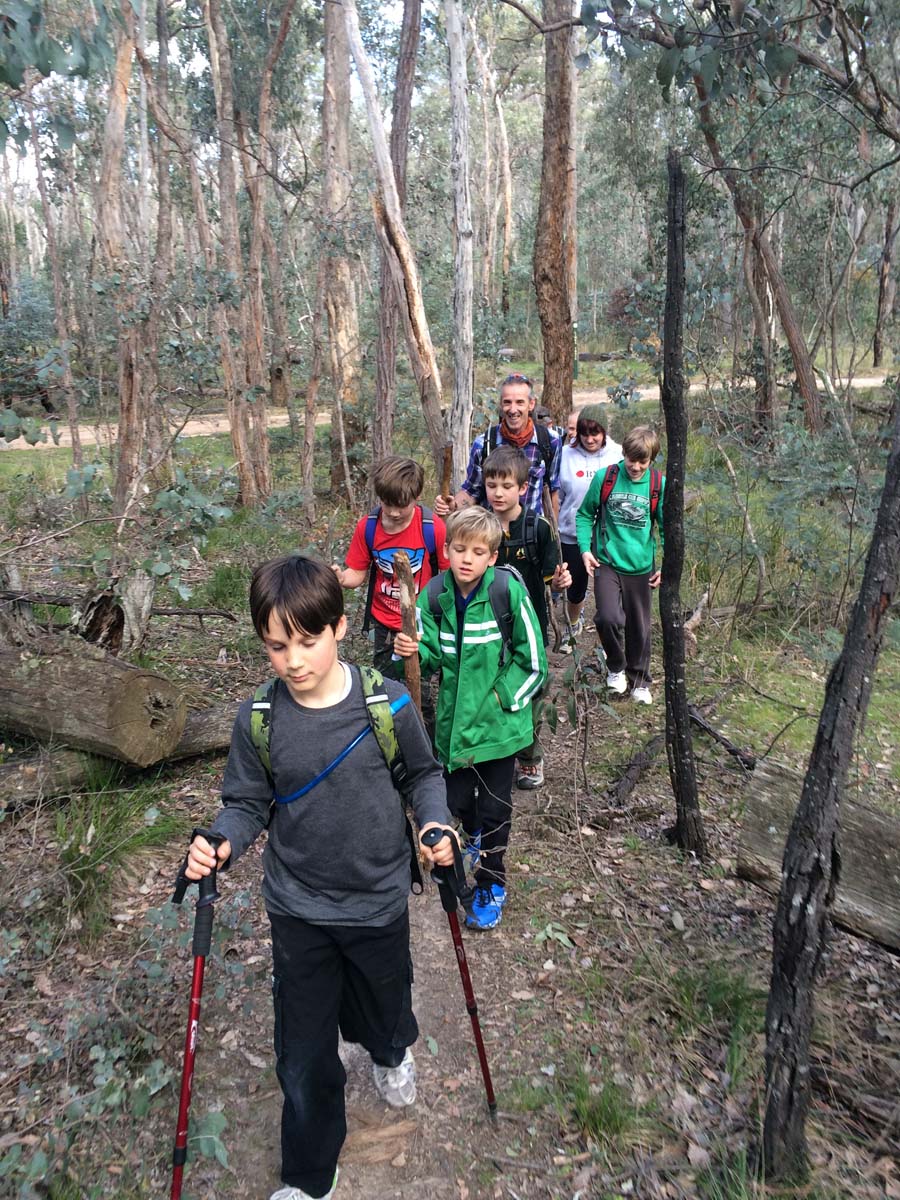 Great dividing trail dry diggings track 1