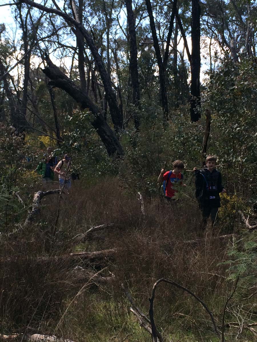 Great dividing trail dry diggings track 11