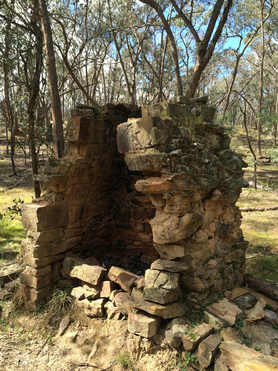 Great dividing trail dry diggings track 5