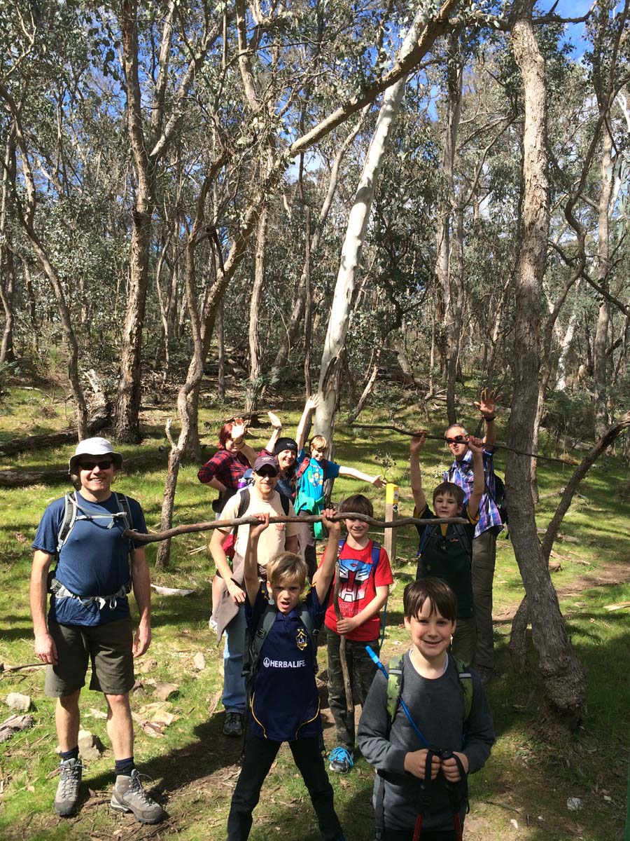 Great dividing trail dry diggings track 6