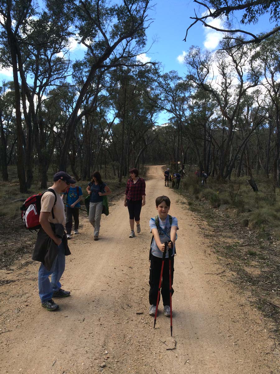 Great dividing trail dry diggings track 7