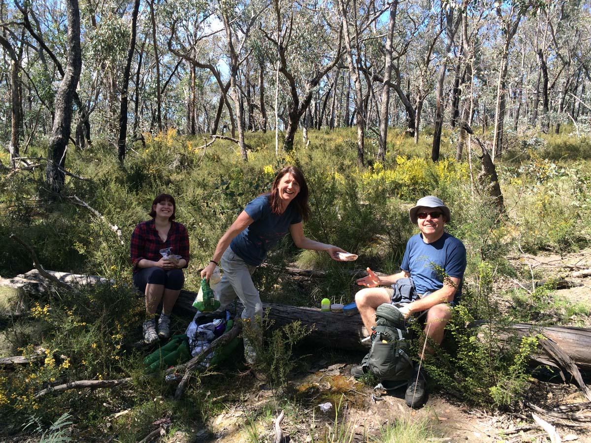 Great dividing trail dry diggings track 9