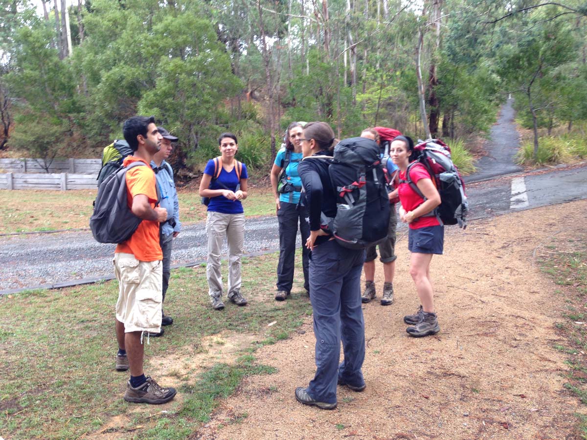 Great dividing trail lerderderg track 1