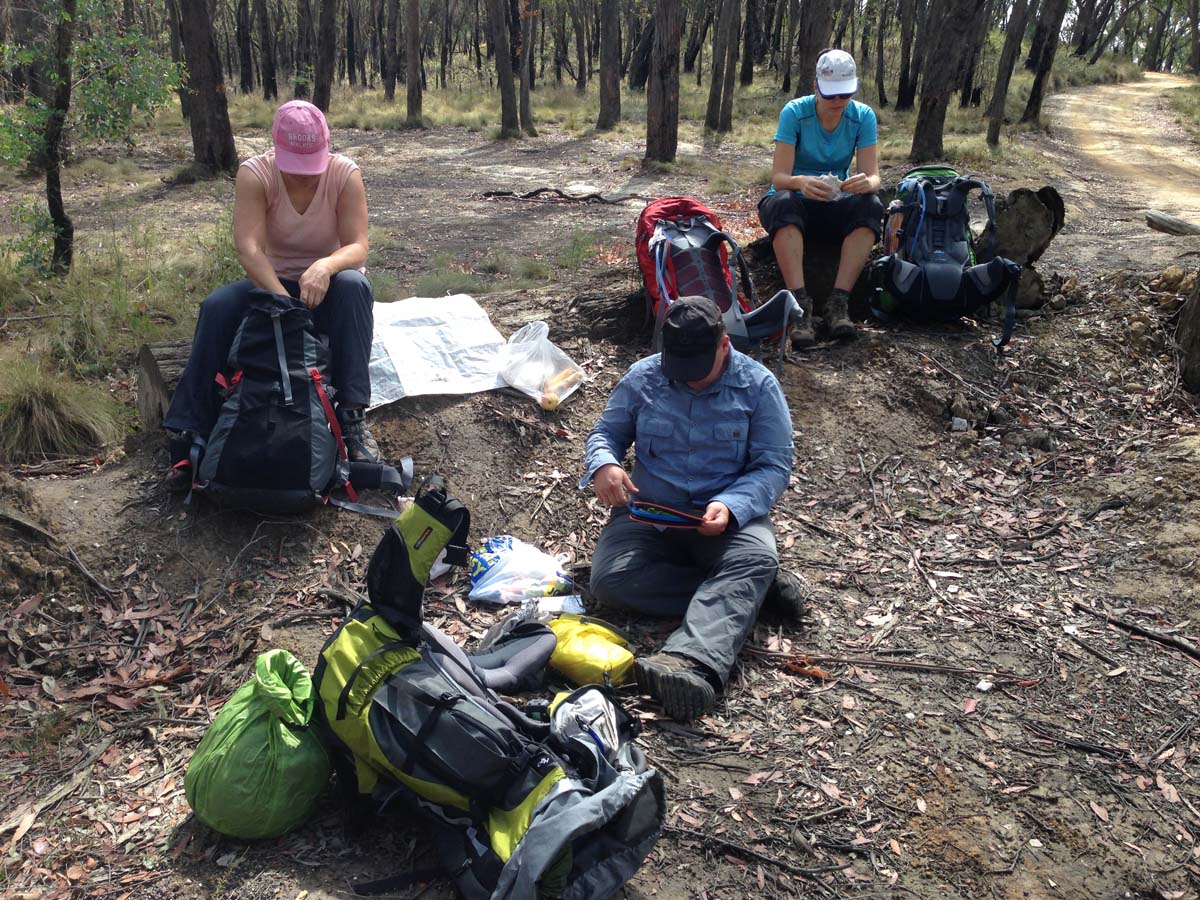 Great dividing trail lerderderg track 11