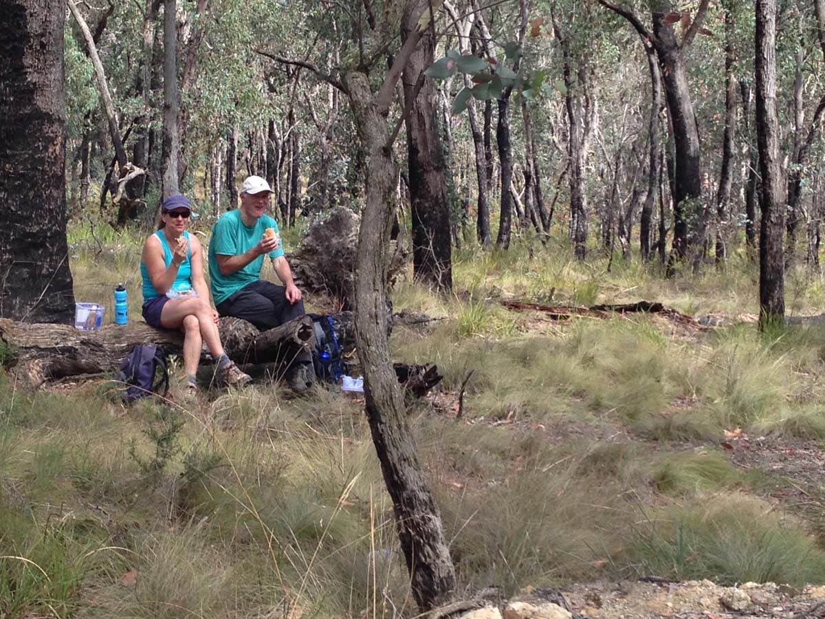 Great dividing trail lerderderg track 12