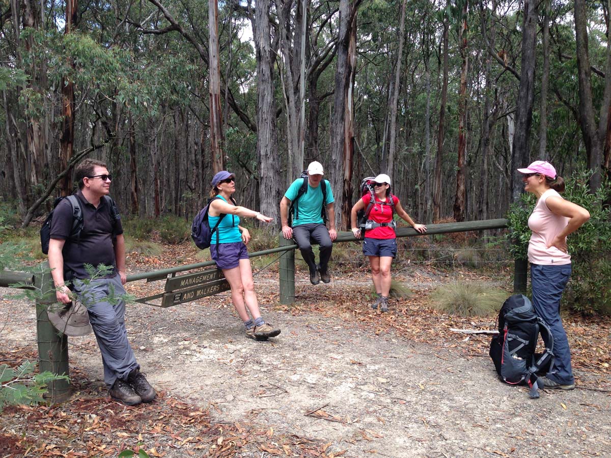 Great dividing trail lerderderg track 14