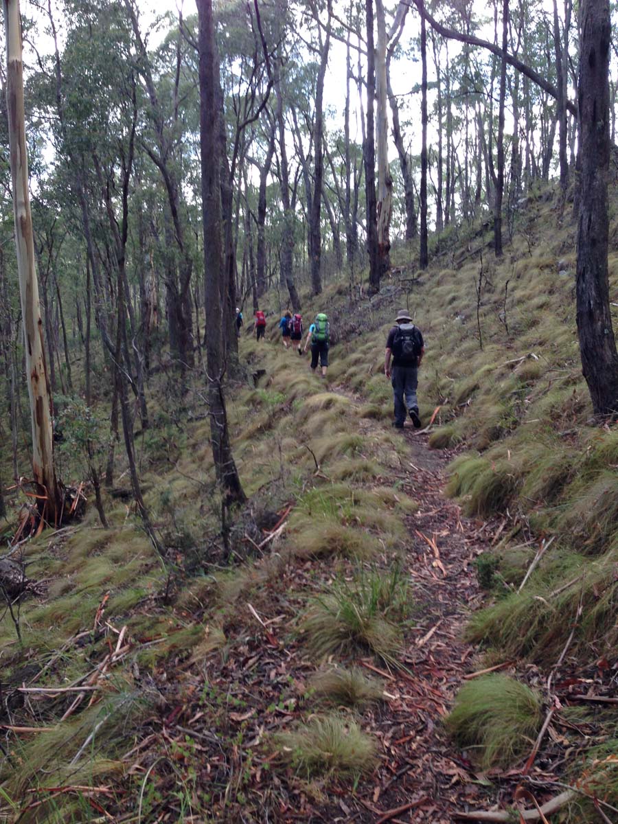 Great dividing trail lerderderg track 3