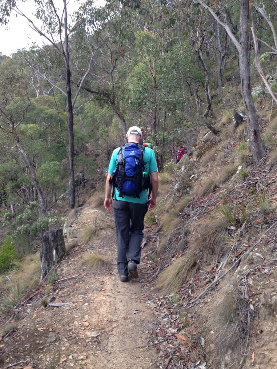 Great dividing trail lerderderg track 4