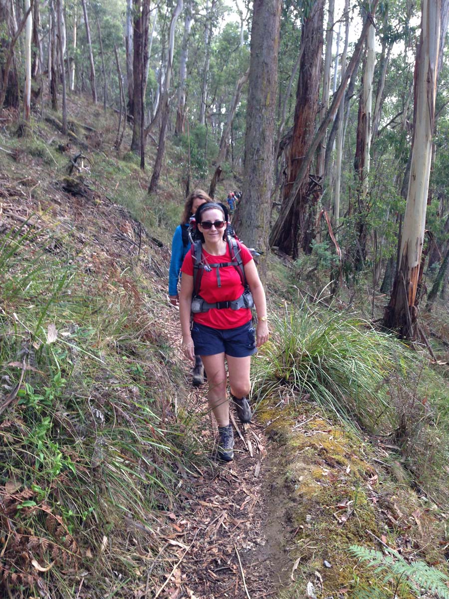 Great dividing trail lerderderg track 5