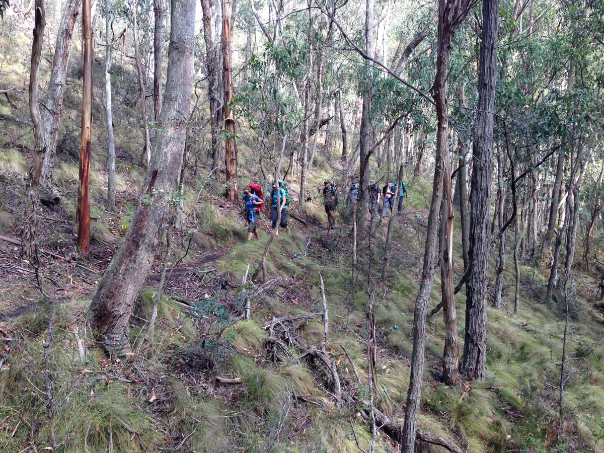 Great dividing trail lerderderg track 6