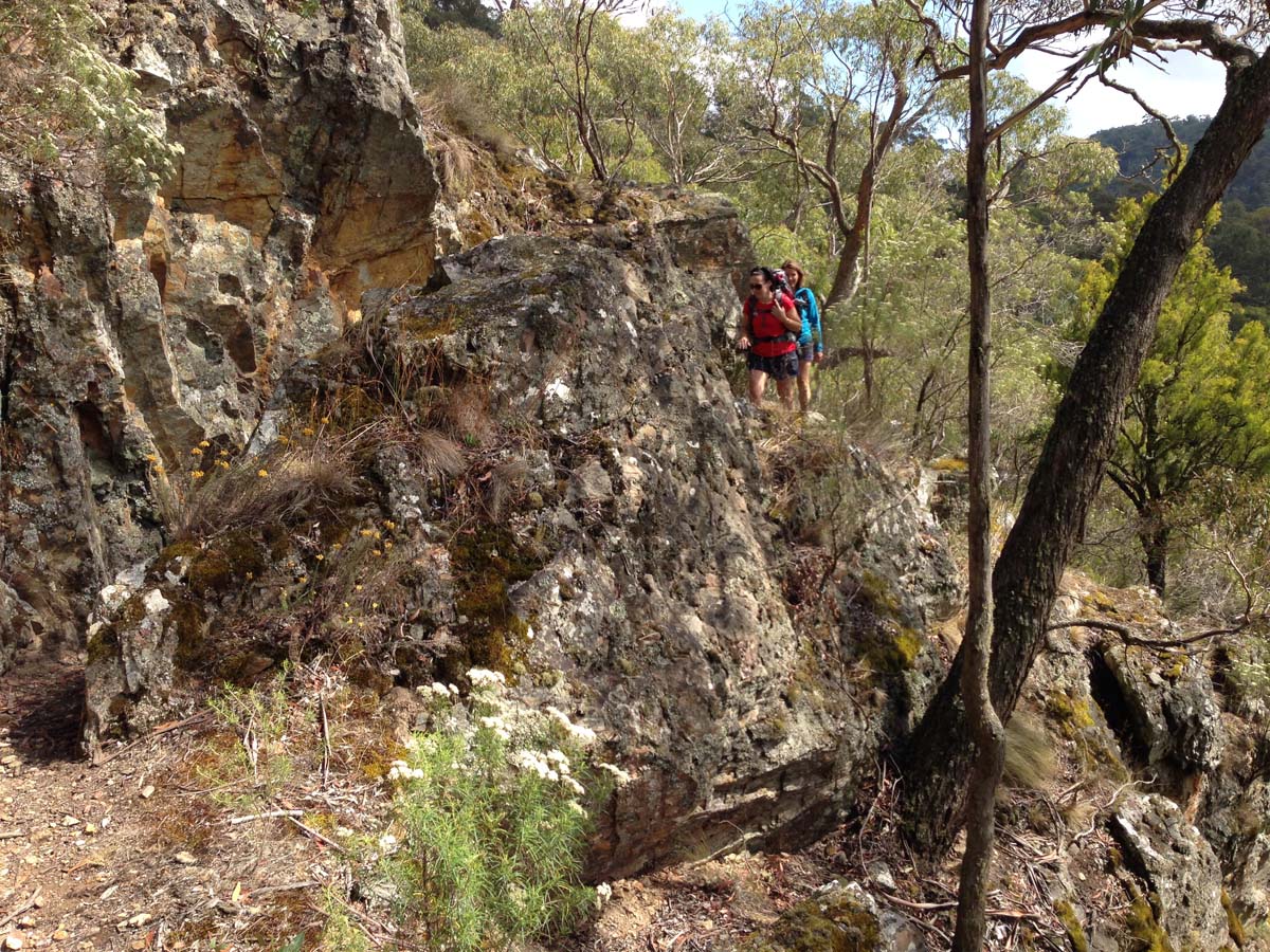 Great dividing trail lerderderg track 7