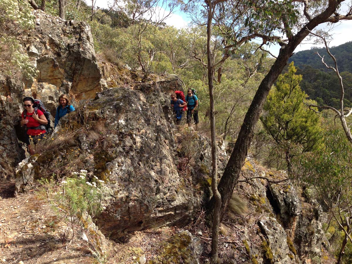 Great dividing trail lerderderg track 8