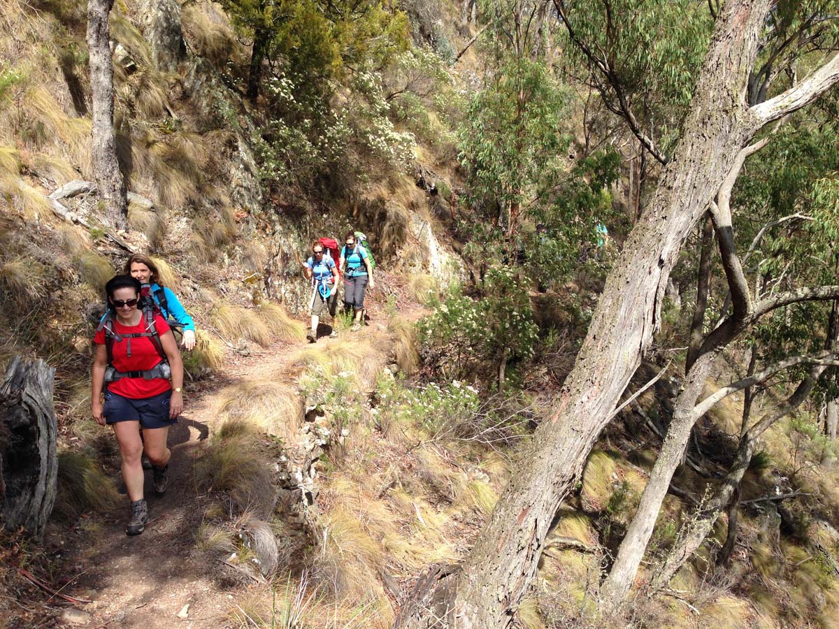 Great dividing trail lerderderg track 9