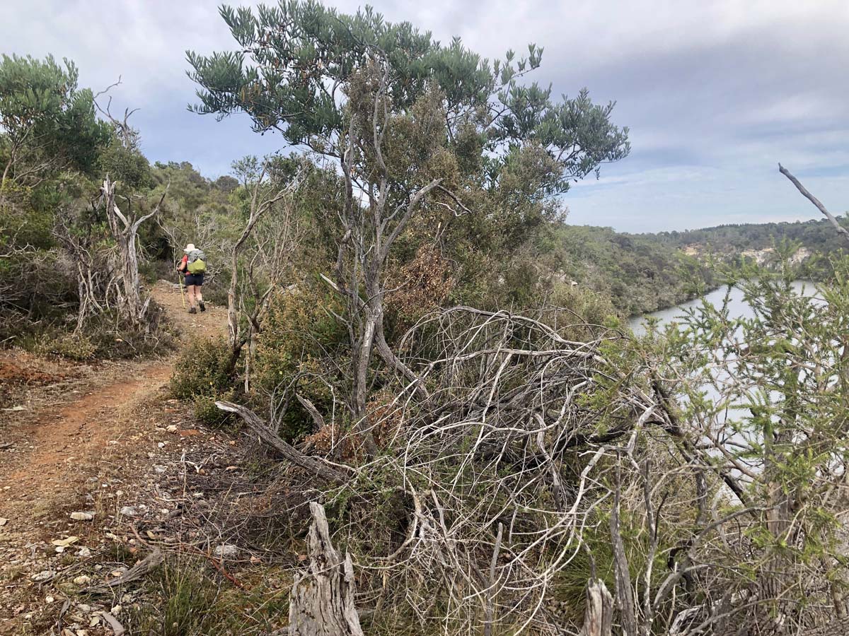 Great south west walk 170