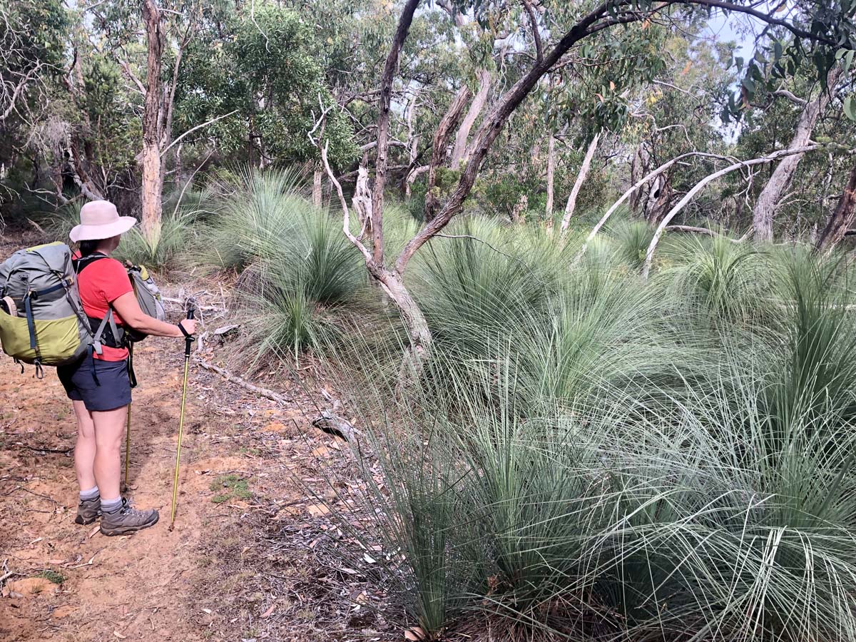 Great south west walk 173