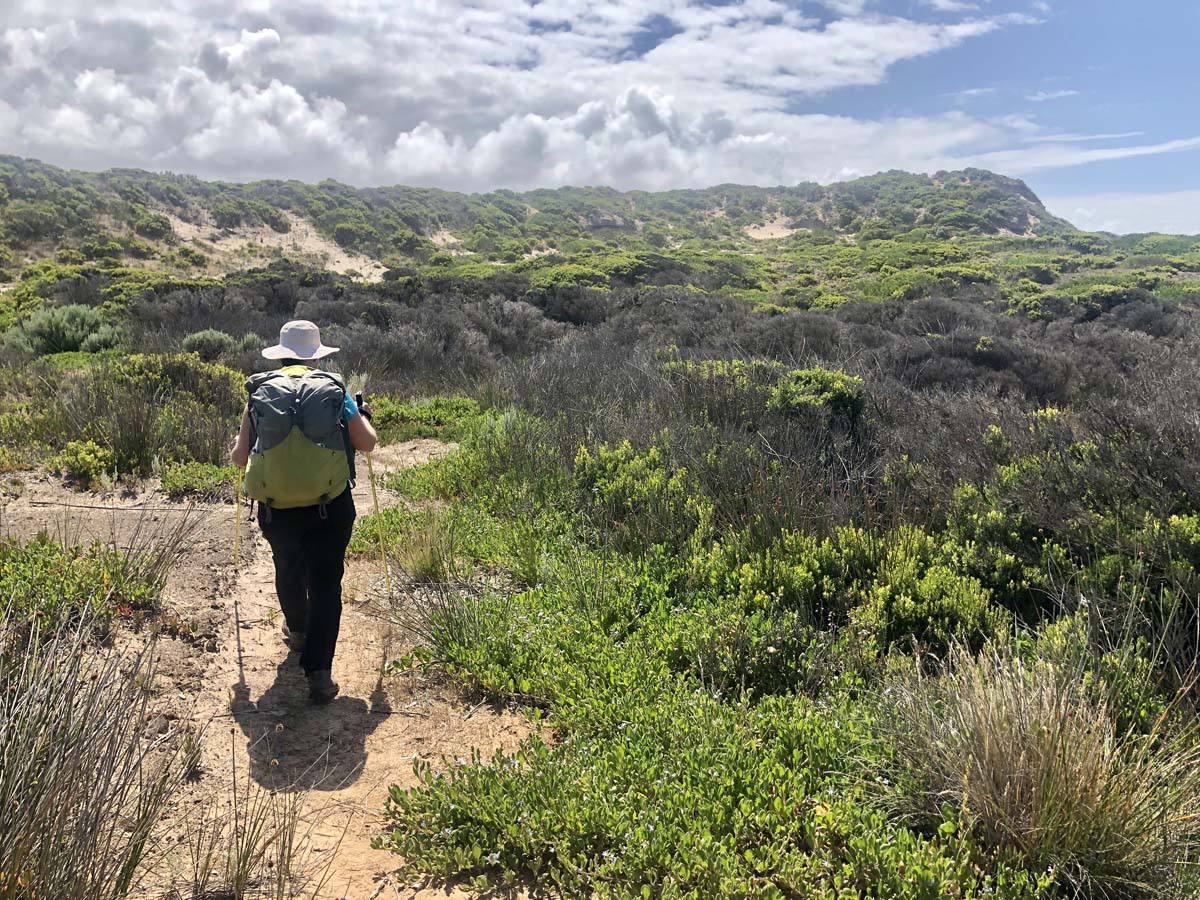 Great south west walk 266