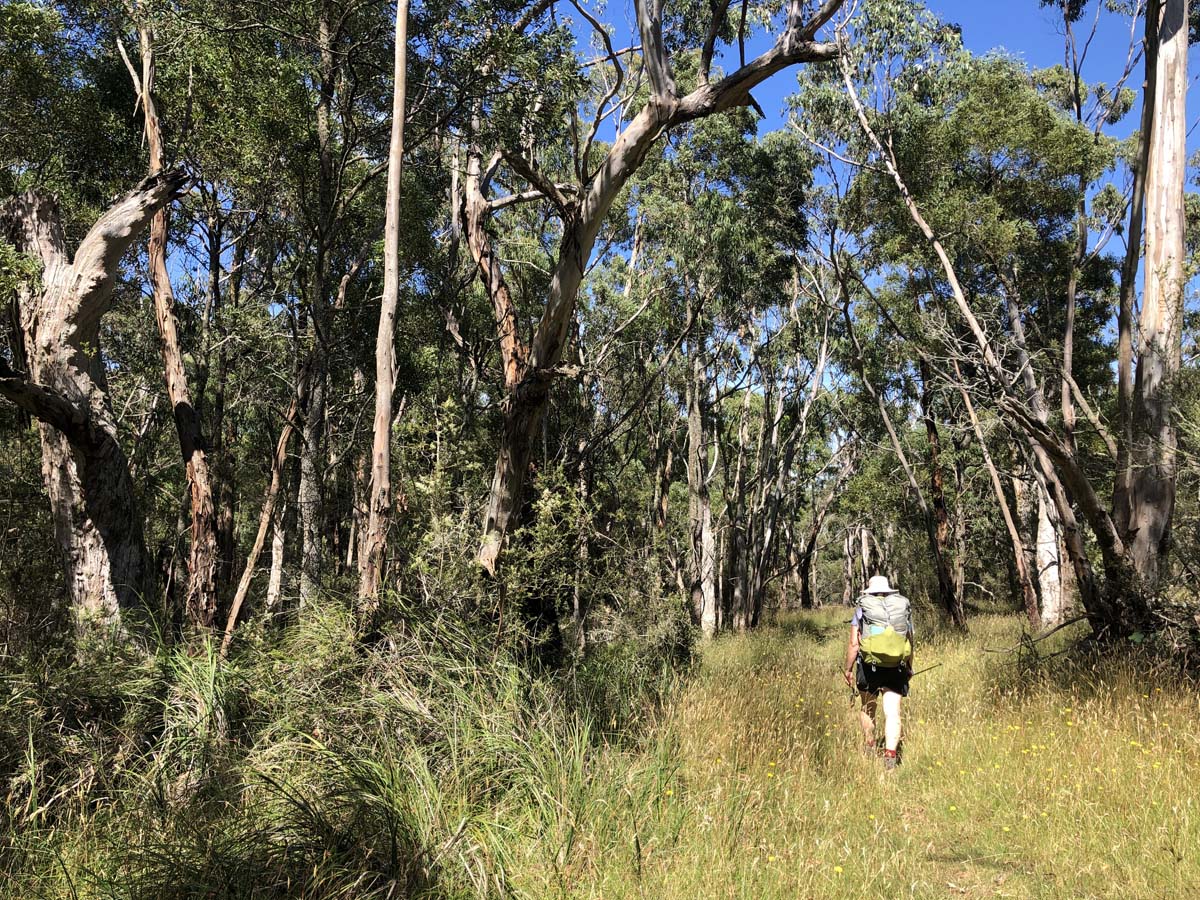 Great south west walk 35