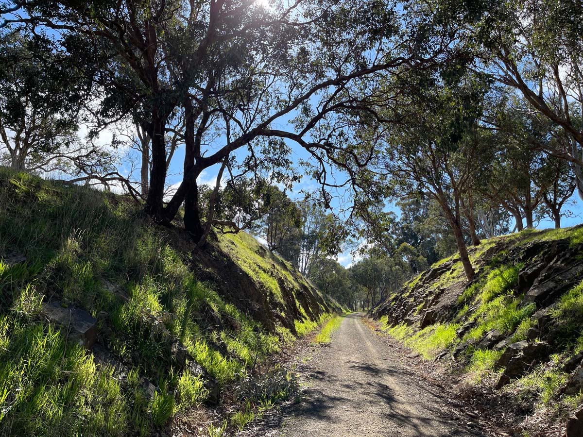 Great victorian rail trail walk 10