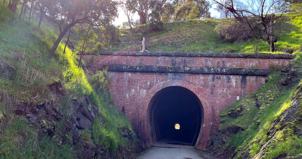 Great victorian rail trail walk 14