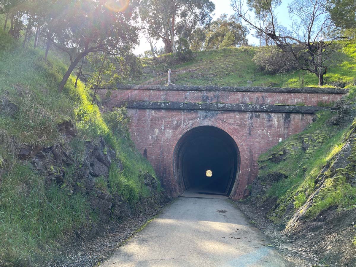 Great victorian rail trail walk 9