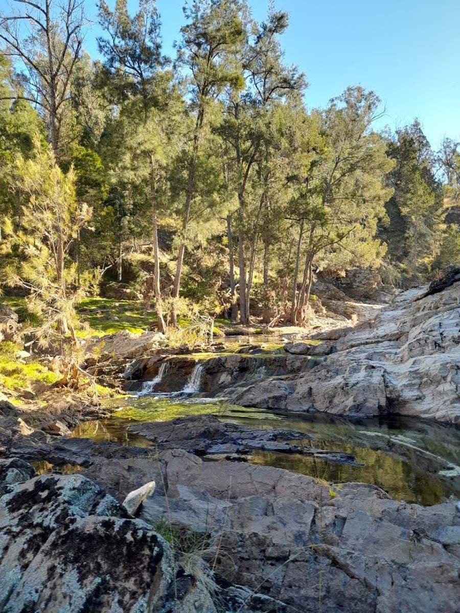 Grove creek falls walking track