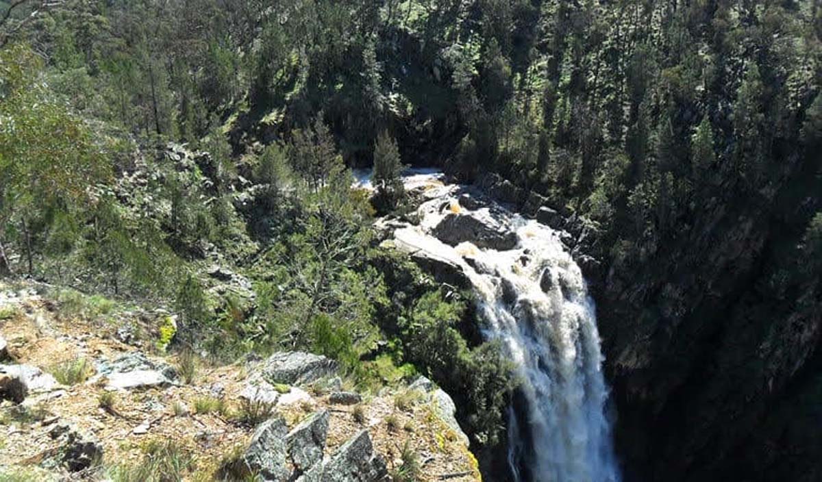 Grove creek falls walking track 1