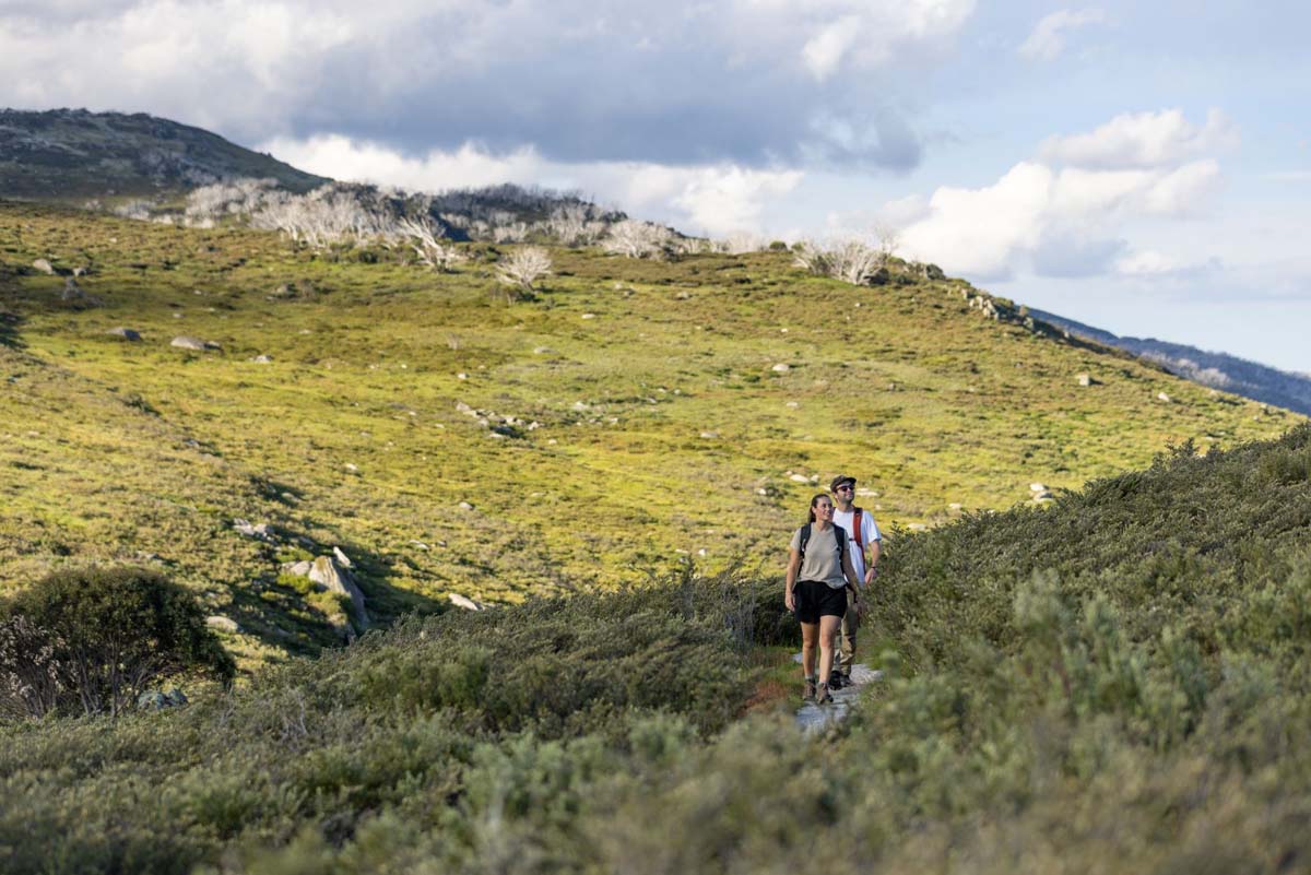Guthega to charlotte pass walk 1