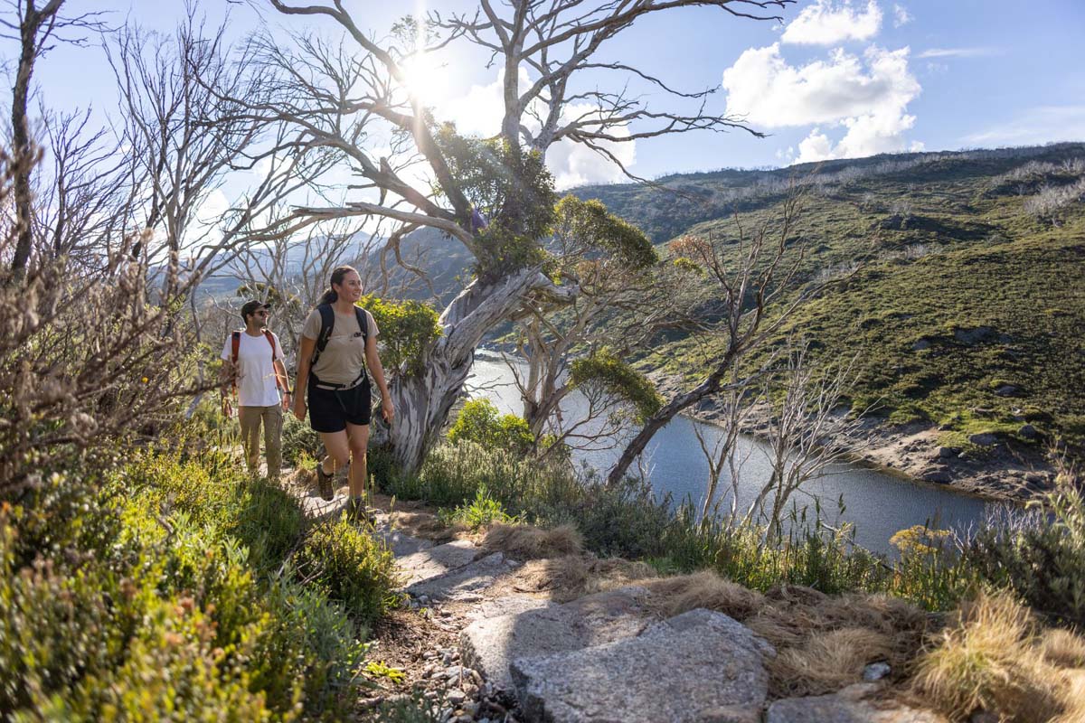 Guthega to charlotte pass walk 2