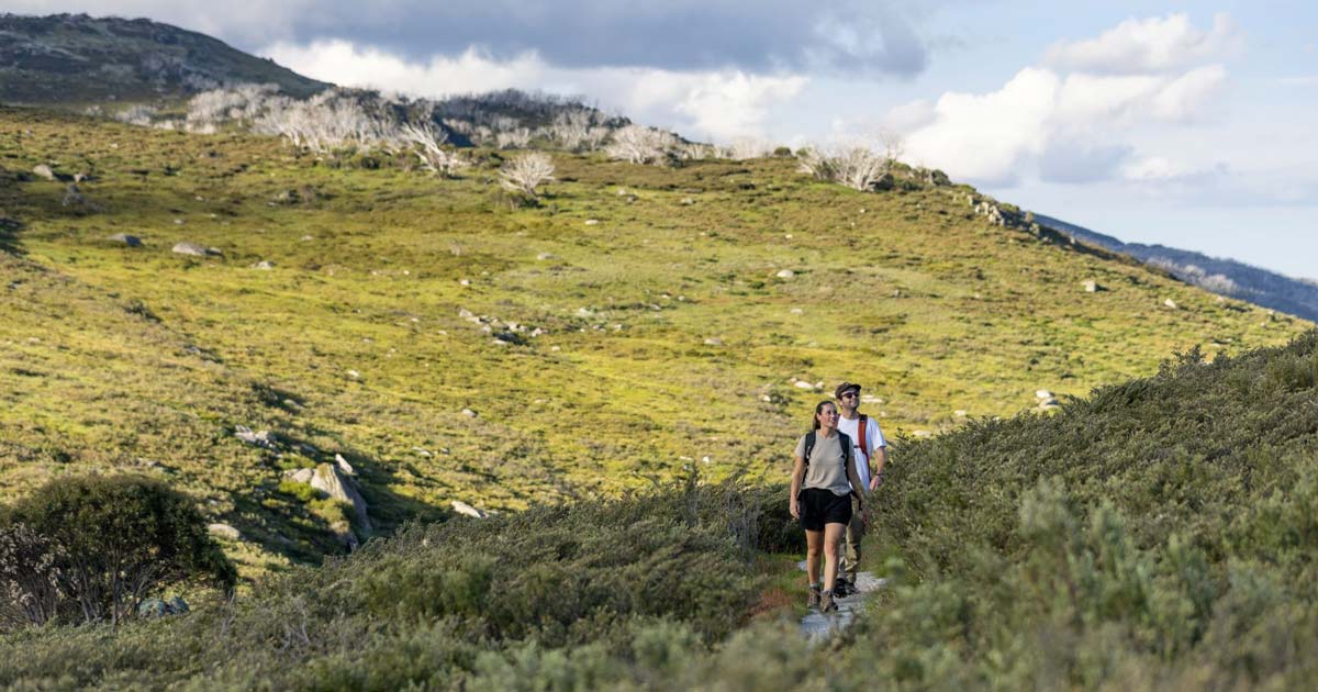 Guthega to charlotte pass walk 5